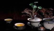 禅茶：佛教中的茶文化是什么